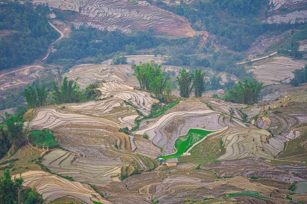 Letecký Snímek Rýžových Teras Ngai Thau Provincie Lao Cai Vietnam — Stock fotografie