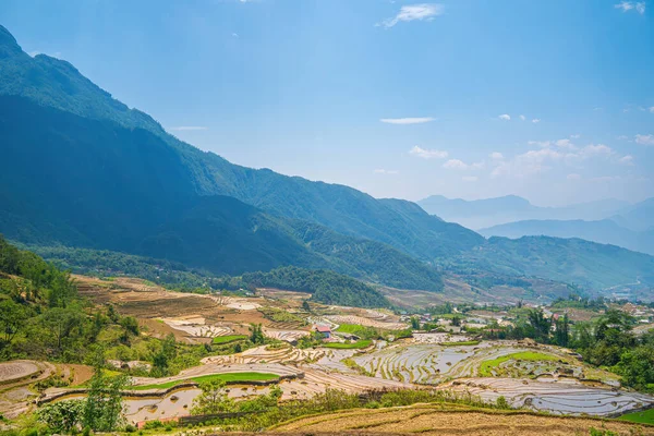Flygfoto Ris Terrasser Ngai Thau Lao Cai Provinsen Vietnam Landskap — Stockfoto