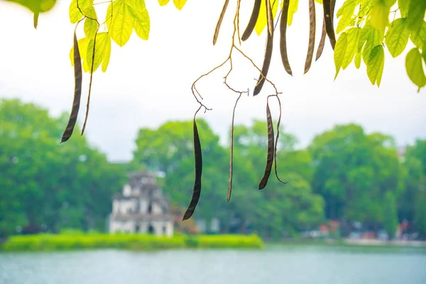 Bulanık arka plan Hoan Kiem Gölü (Ho Guom) ya da Sword Gölü sabah sisli havada Hanoi 'nin merkezinde. Hoan Kiem Gölü Hanoi 'de ünlü bir turistik yerdir. Seyahat ve manzara konsepti.