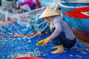 Balıkçılar yerden balık toplarlar. Bu güzel sabahta satmak için şapka takan yaşlı kadın balık topluyor ve buduyor..