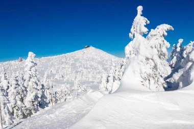 sunny winter day in Giant mountains in Poland