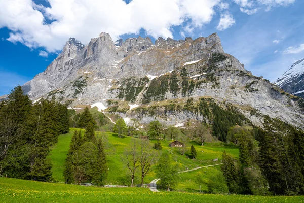 Alpy Vesnici Grindelwald Švýcarsku — Stock fotografie