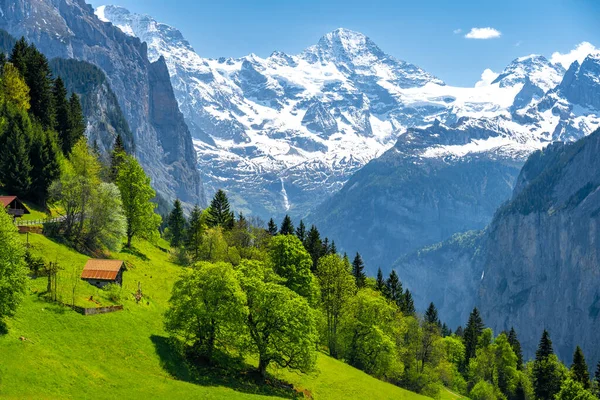 Jarní Louka Alpách Vesnici Wengen Švýcarsku — Stock fotografie
