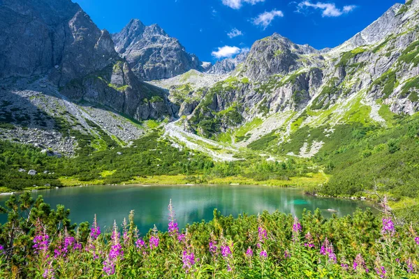 Slovakya 'daki Tatra dağlarında Zelene Pleso dağı