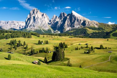 İtalya 'da Dolomitler' de küçük ahşap kulübesi olan Alpe di Siusi çayır manzarası 