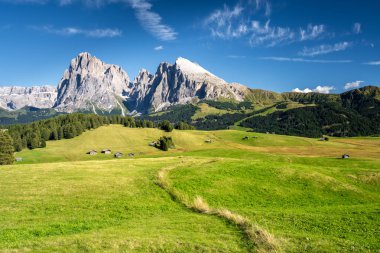 İtalya 'da Dolomitler' de Alpe di Siusi 'de yaz çayırı
