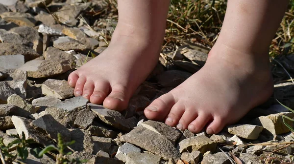 close up shot of a child's feet in a stone floor in the summer forest