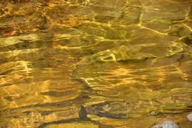 Güneşin yansımasıyla dalgalı su yüzeyi