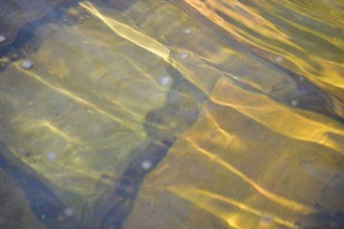 Güneşin yansımasıyla dalgalı su yüzeyi