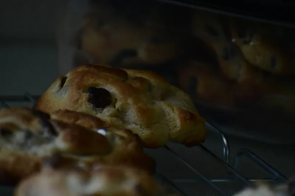 çikolatalı kurabiye yakın çekim