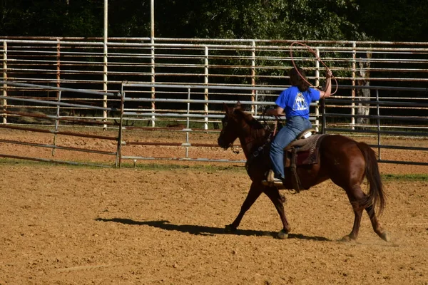 Uma Bela Foto Uma Jovem Montando Cavalo Durante Dia — Fotografia de Stock