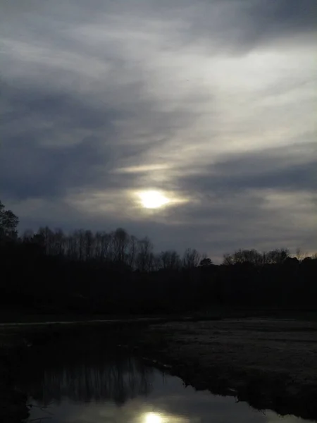 Ormandaki nehrin güzel manzarası