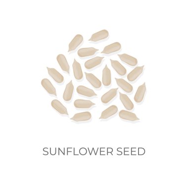 Soyulmuş Ayçiçeği Tohumu Fıstık Kuaci Vektör İllüstrasyon Logosu