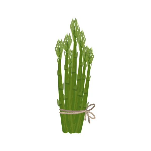 Logo Illustration Vector Bunch Fresh Green Asparagus — Stock Vector