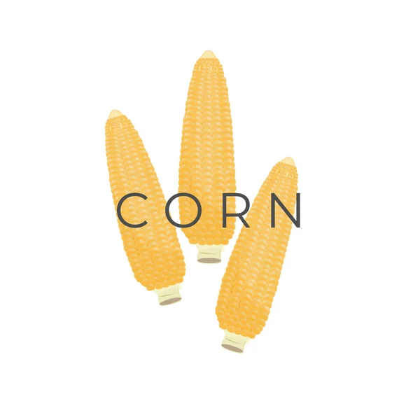 Simple Corn Vector Illustration Logo — Stock Vector
