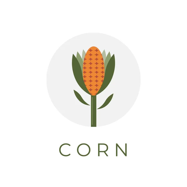 Milho Natural Simples Vector Ilustração Logo — Vetor de Stock