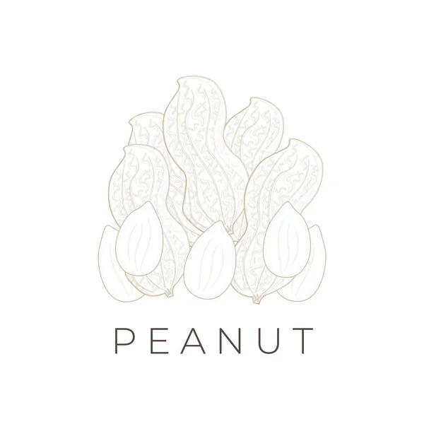 Peanut Simple Line Art Vector Illustration Logo — Stockvektor