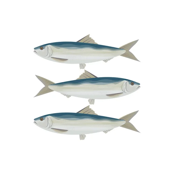 Logo Illustration Einer Gruppe Sardinen Auf Weißem Hintergrund — Stockvektor