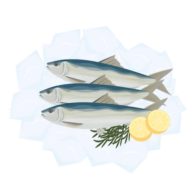 Čerstvé Logo Sardine Fish Vector Ilustration Ice — Stockový vektor