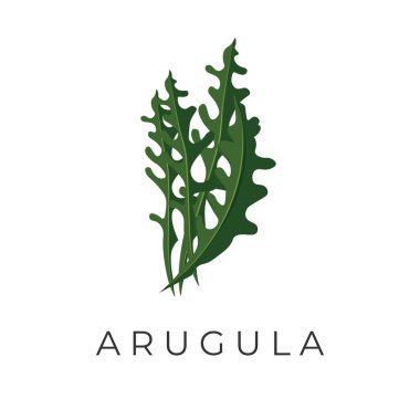Yeşil Arugula Sebze Çizim Logosu