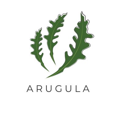 Yeşil Arugula Çizgisi Sanat Vektörü İllüstrasyon Logosu