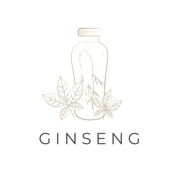 Ginseng Kök Çizgisi Sanat Çizgisi Çizim Logosu
