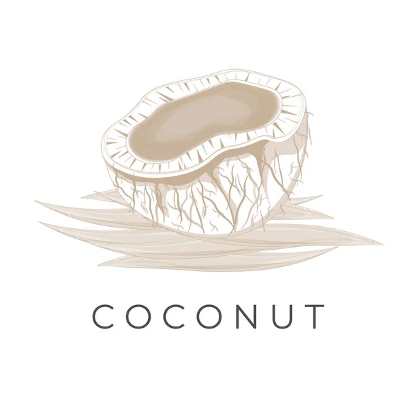 Peeled Coconut Dessin Animé Illustration Logo — Image vectorielle