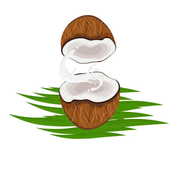 Frische Kokosmilch Illustration Logo — Stockvektor