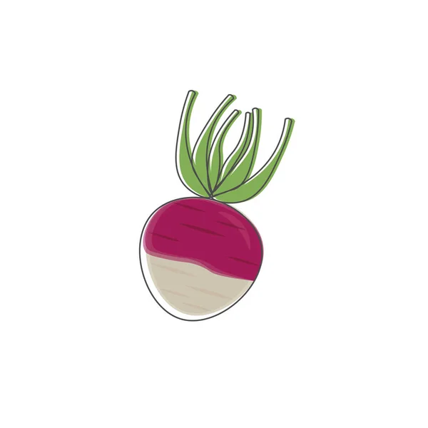 Turnip Line Art Cartoon Illustration Logo — Stock Vector