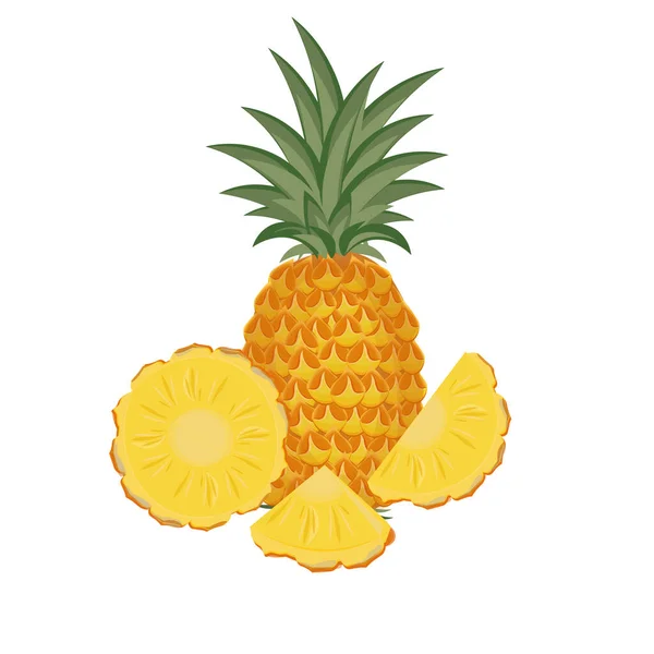 Φρέσκο Λογότυπο Εικονογράφησης Διάνυσμα Φέτα Φρούτων Ανανά — Διανυσματικό Αρχείο