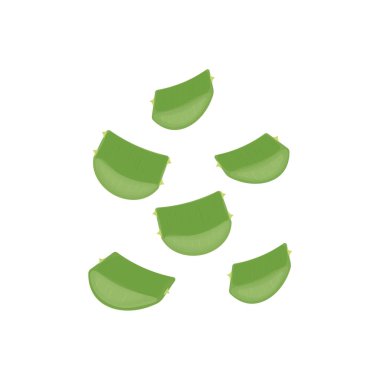Taze kesik Aloe Vera İllüstrasyon Logosu