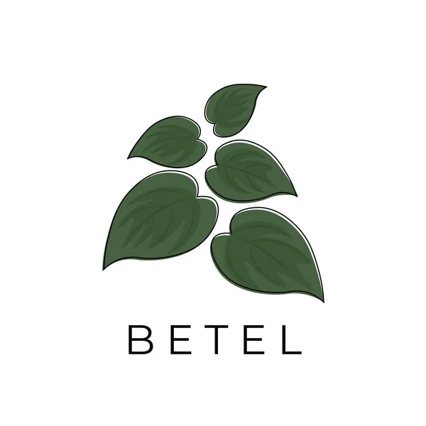 Logo Illustration Bunch Green Betel Leaves — Stock Vector