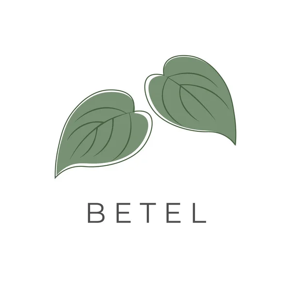 Green Betel Leaf Illustration Logo — Stock Vector