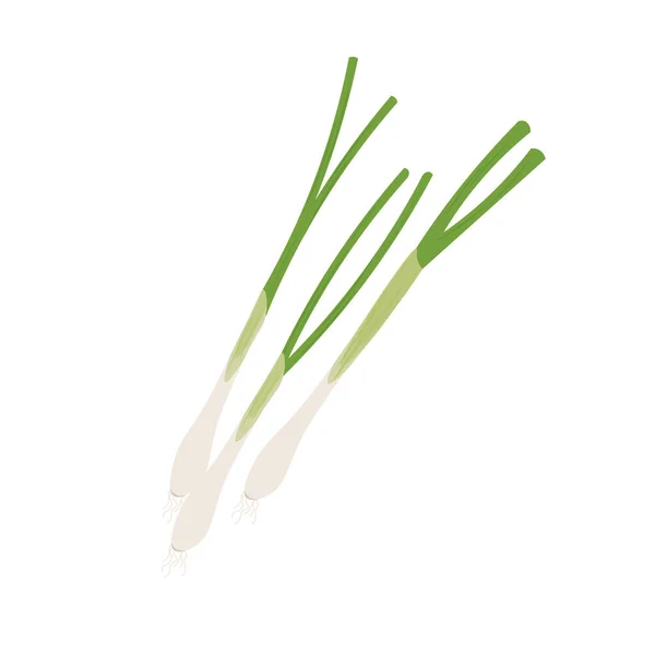 Green Onion Scallion Realistic Vector Illustration Logo — Stock Vector