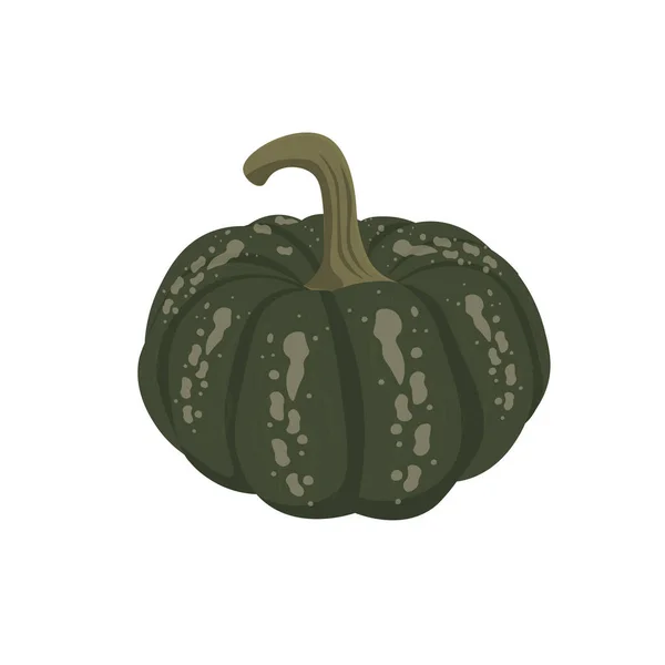 Whole Green Pumpkin Kabocha Vector Illustration Logo — Stock Vector