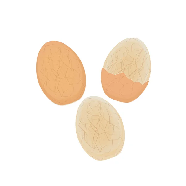Tradiční Tea Egg Pickled Egg Ilustrační Logo — Stockový vektor