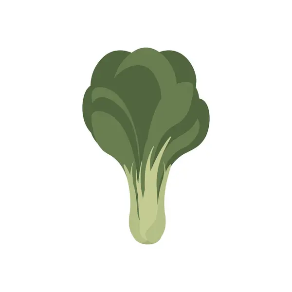 Logo Illustrazione Semplice Choy Verde Bok — Vettoriale Stock
