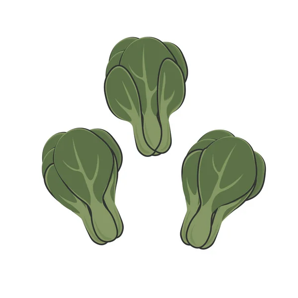 Ilustración Del Logotipo Dibujos Animados Bok Choy Verde — Vector de stock