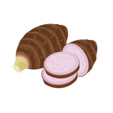 Vektör illüstrasyon logosu sanat taro kökleri izole