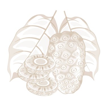 Vektör İllüstrasyon Logo Hattı Sanat Süper Yemek Noni meyve