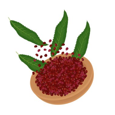 Vektör illüstrasyon logo klip sanatı Sumac tohumlarının havaya kaldırılması