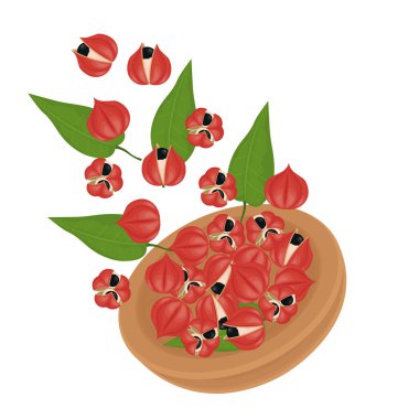 Vektör İllüstrasyon Logosu Clipart Superfood Guarana Levitation