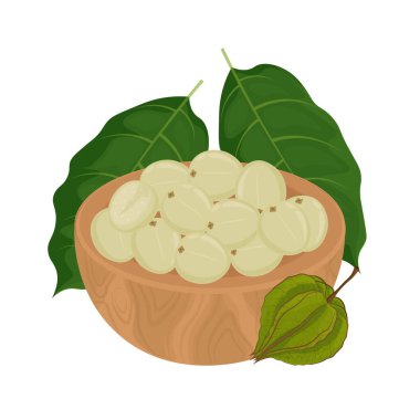 Vector Illustration Logosu Süper Yemek Physalis Ciplukan Meyveleri Tahta Kasede