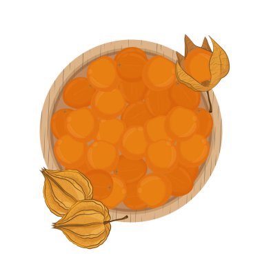 Vector Illustration Logo Clipart Top View Superfood Physalis  clipart