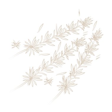 Vektör Illustration Logo serisi sanat Taze Hijiki deniz yosunu 