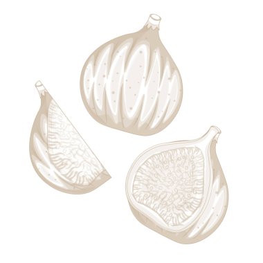 Vektör İllüstrasyon Logo Hattı Sanat Taze incir meyveleri