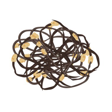 Vector Illustration Logosu Clipart Gosari Fiddlehead Eğreltiotları