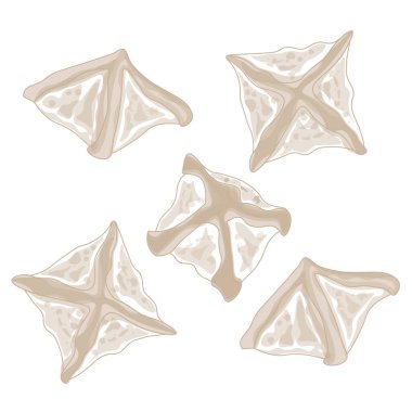 Vector Illustration Logo Hattı Sanat Pyeonsu Kore Meydanı Hamur köfteleri 