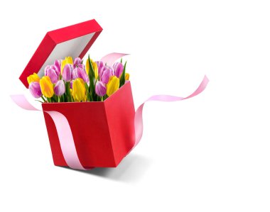 Bunch of tulips in a red gift box with pink ribbon on white background