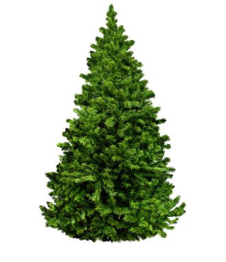 Süssüz Noel ağacı beyazda izole edilmiş